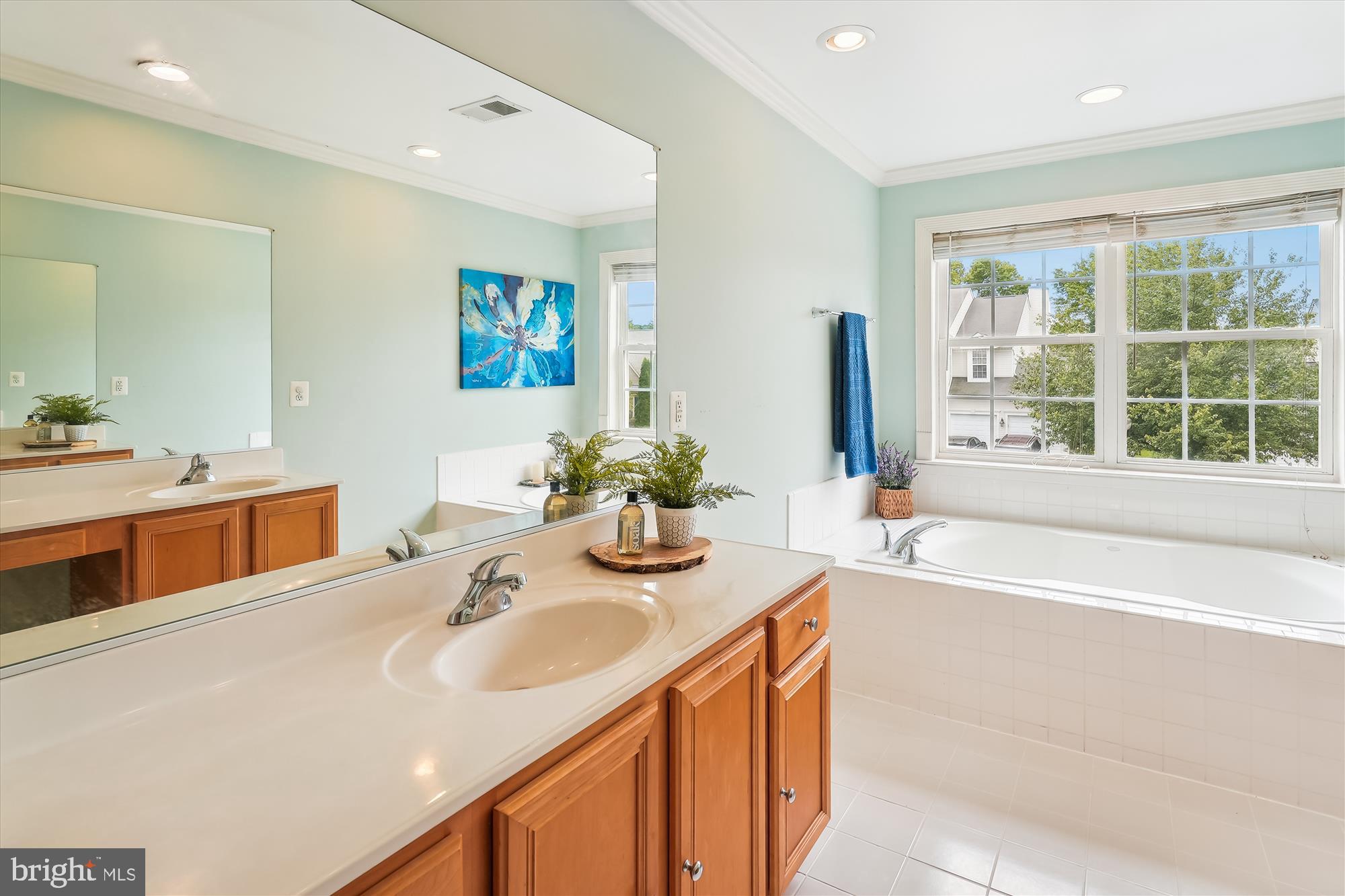 17128 Magic Mountain Drive Round Hill, VA 20141 - Photo 27 of 53 Primary Bath with dual vanities, soaking tub