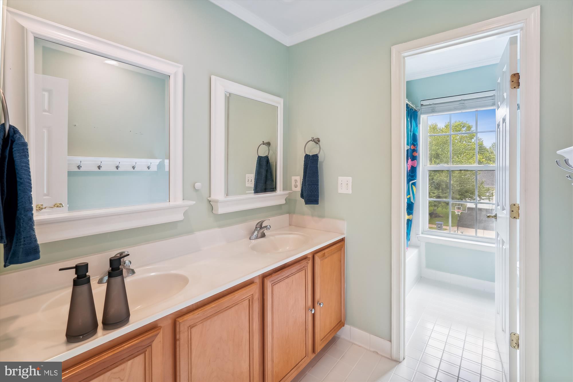 17128 Magic Mountain Drive Round Hill, VA 20141 - Photo 31 of 53 Hall Bath with double vanity, tub/shower
