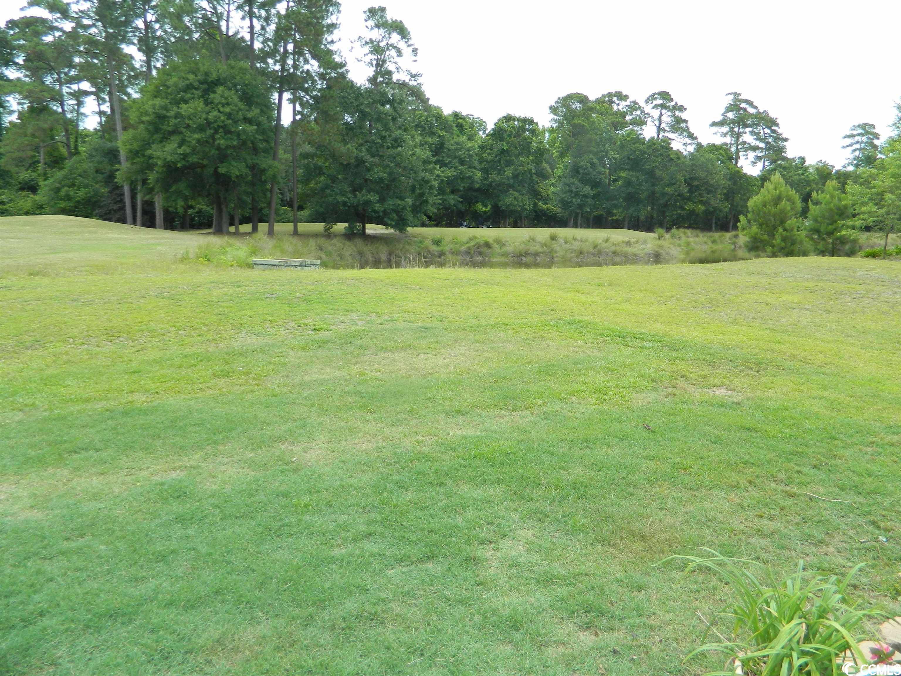 4586 Fringetree Drive Murrells Inlet, SC 29576 - Photo 18 of 23 Gallery Image 18
