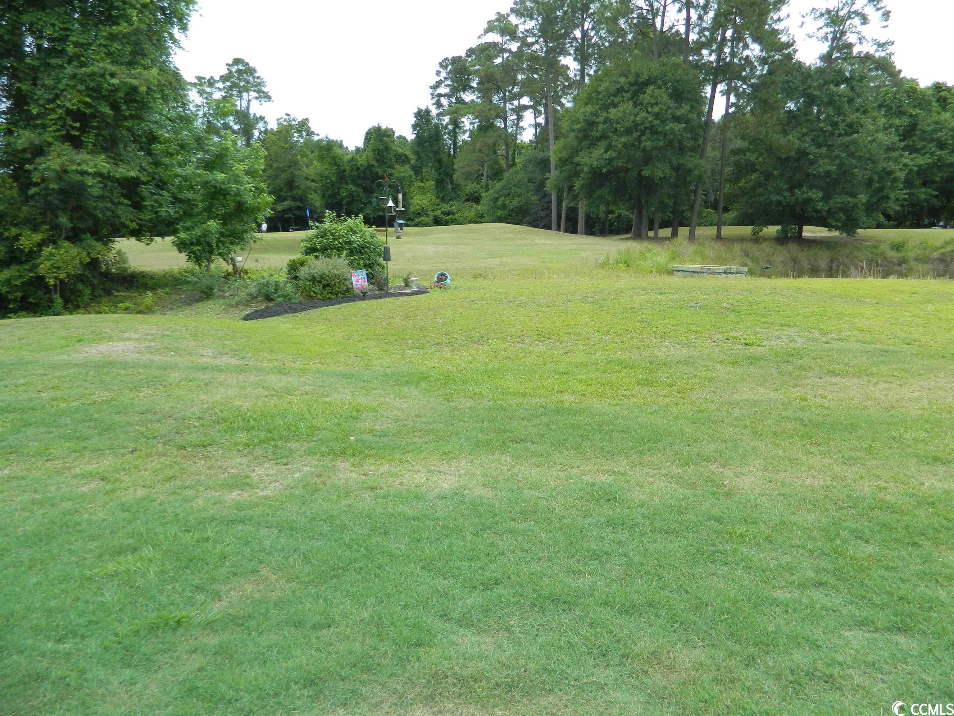 4586 Fringetree Drive Murrells Inlet, SC 29576 - Photo 19 of 23 Gallery Image 19
