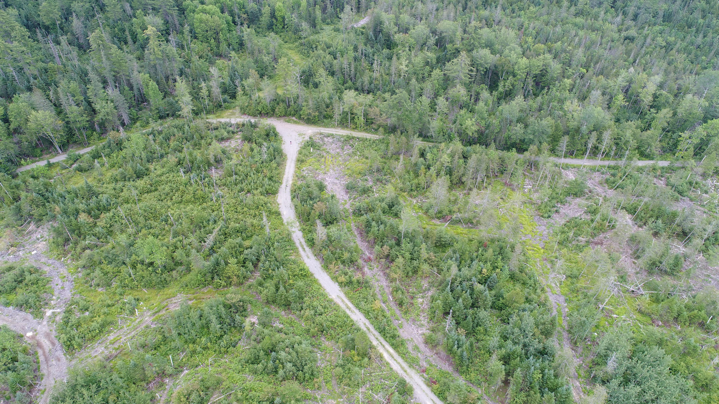 Tbd McCarty Road Solon, ME 04979 - Photo 12 of 17 DJI_0115