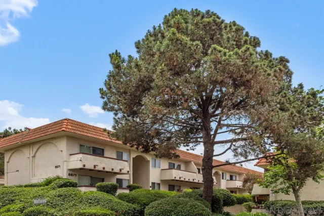 a front view of a house with a tree