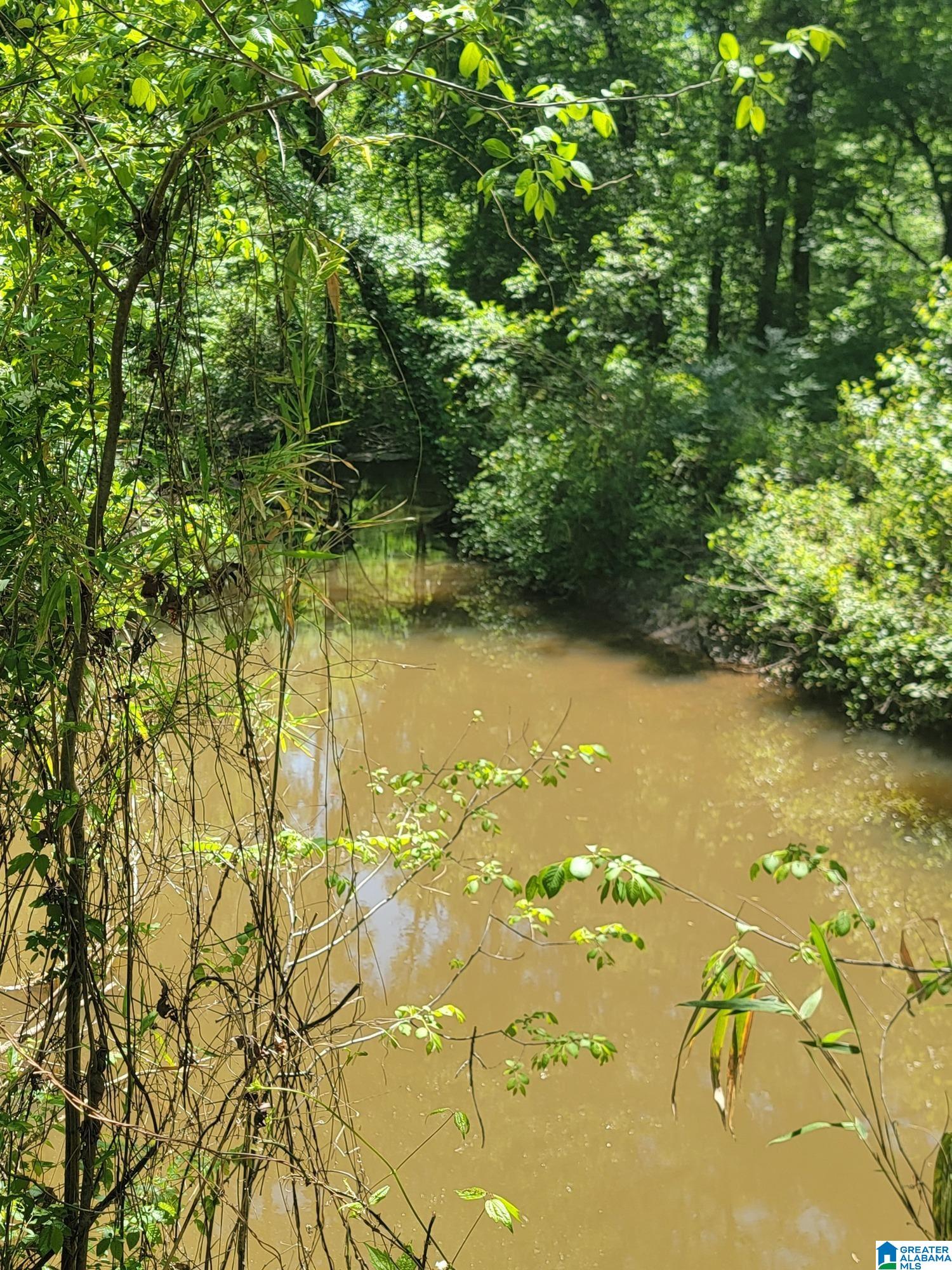 73 County Road 73, Unit 20003000 Randolph, AL 36792 - Photo 8 of 13