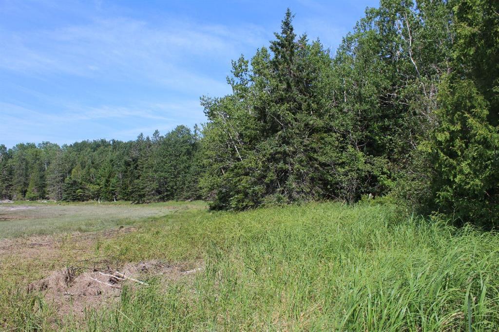 120 Lyons Road Lubec, ME 04652 - Photo 8 of 14 Salt water marsh east cove