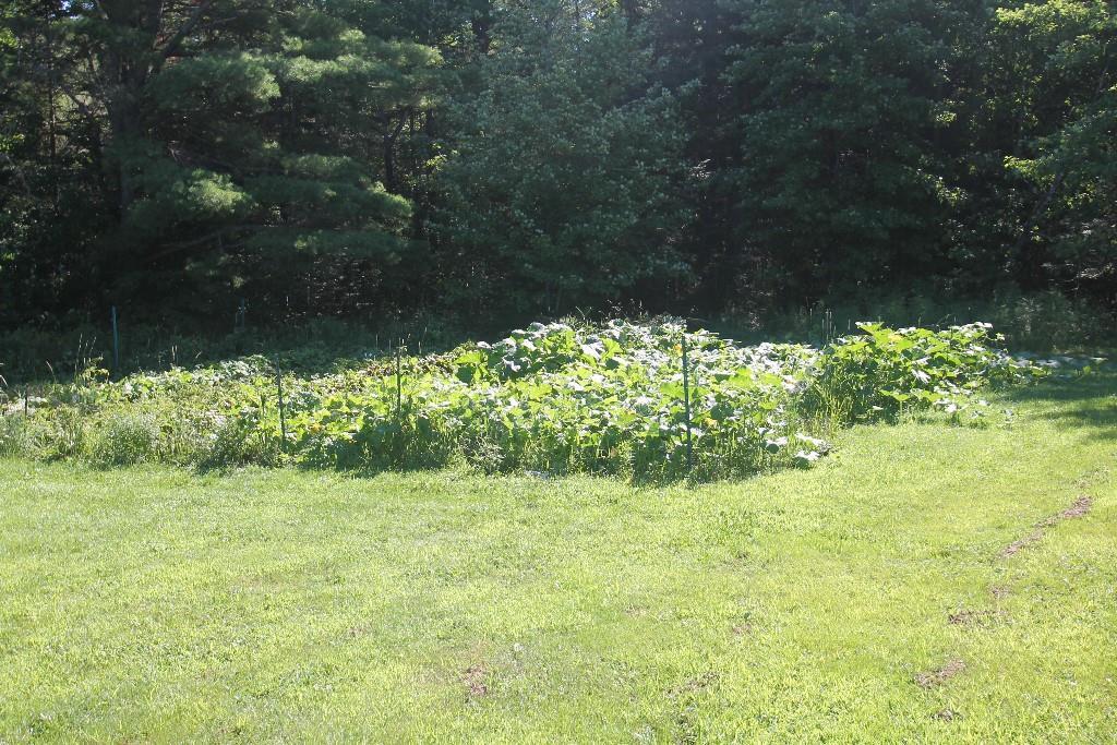 49 Field Road Ellsworth, ME 04605 - Photo 22 of 23 Photo