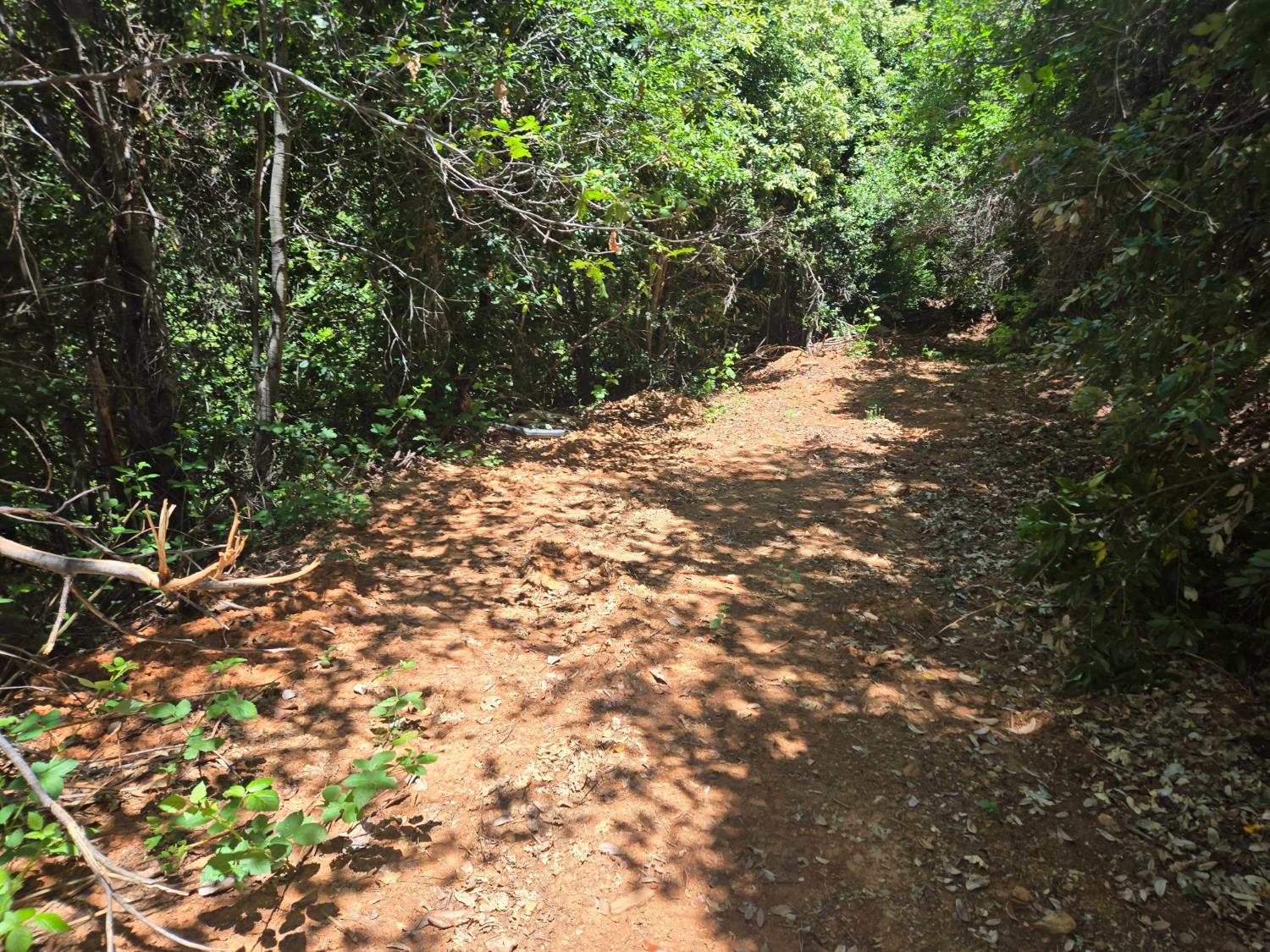 0 Maple Springs Trail Dobbins, CA 95935 - Photo 13 of 22