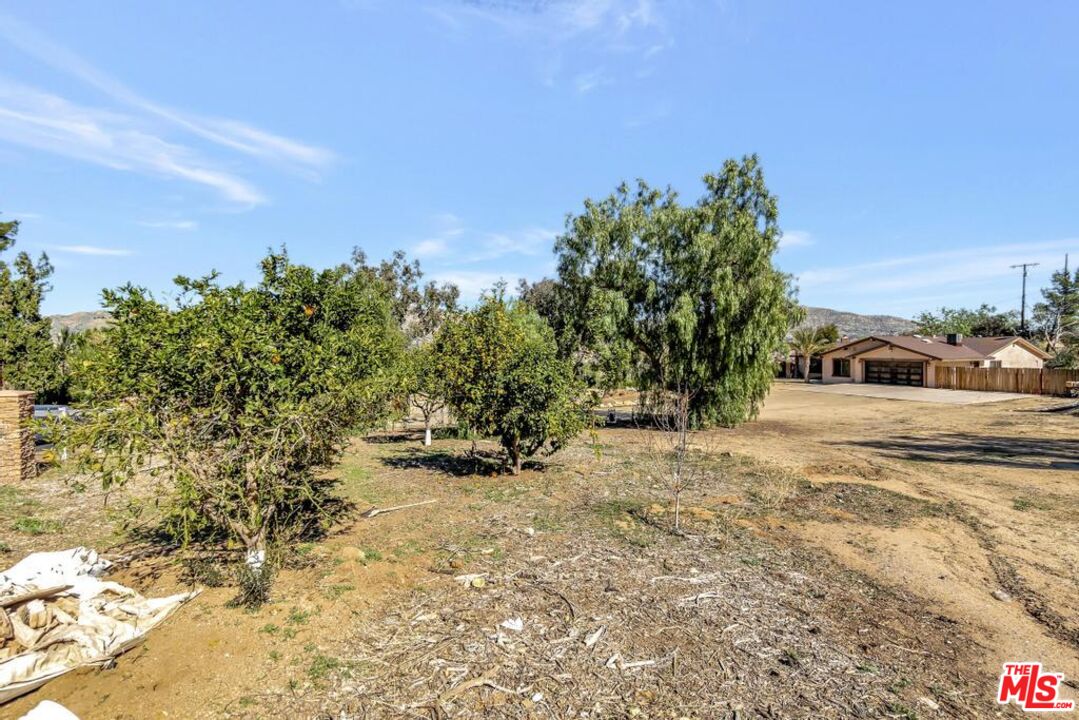 11455 Pigeon Pass Road Moreno Valley, CA 92557 - Photo 9 of 48 a view of a yard with plants and a building