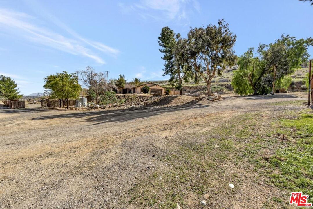 11455 Pigeon Pass Road Moreno Valley, CA 92557 - Photo 10 of 48 a view of a yard with a tree