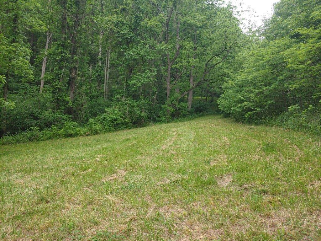 3510 5 Mile Mountain Road Callaway, VA 24067 - Photo 12 of 36 0524211430b
