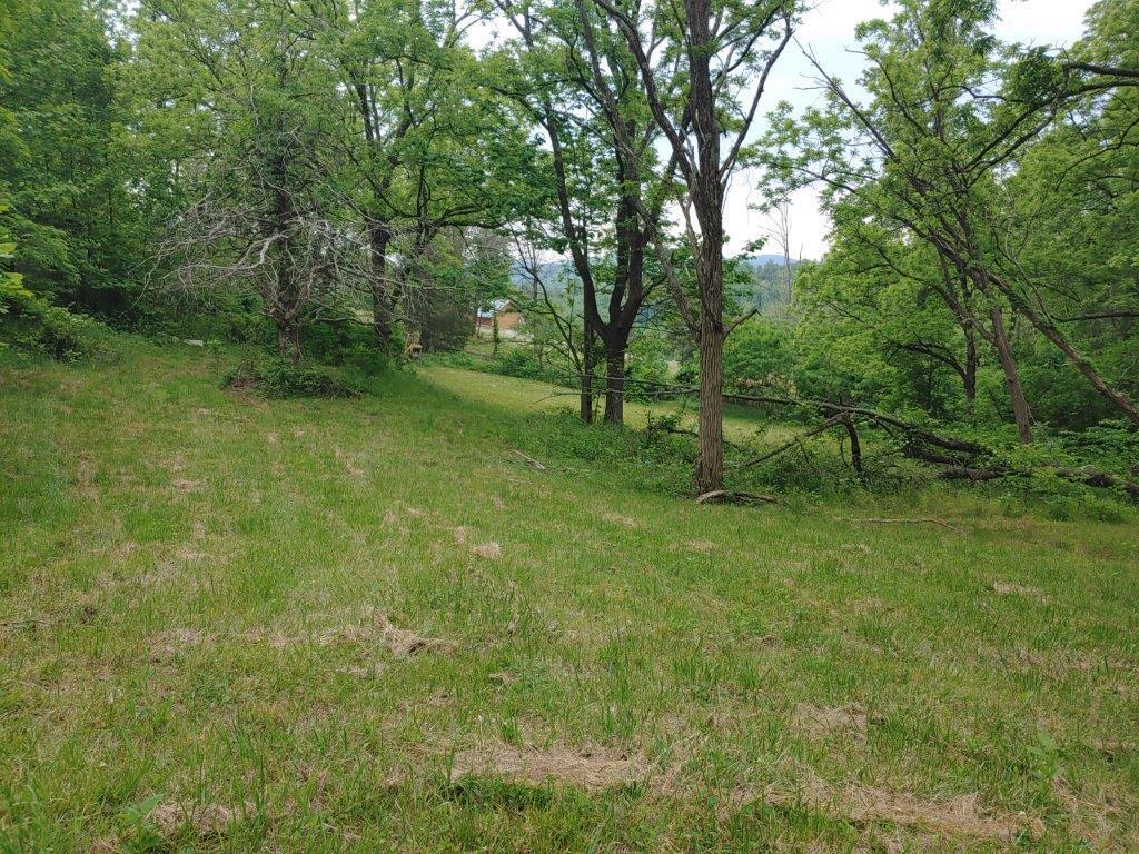 3510 5 Mile Mountain Road Callaway, VA 24067 - Photo 13 of 36 0524211430a