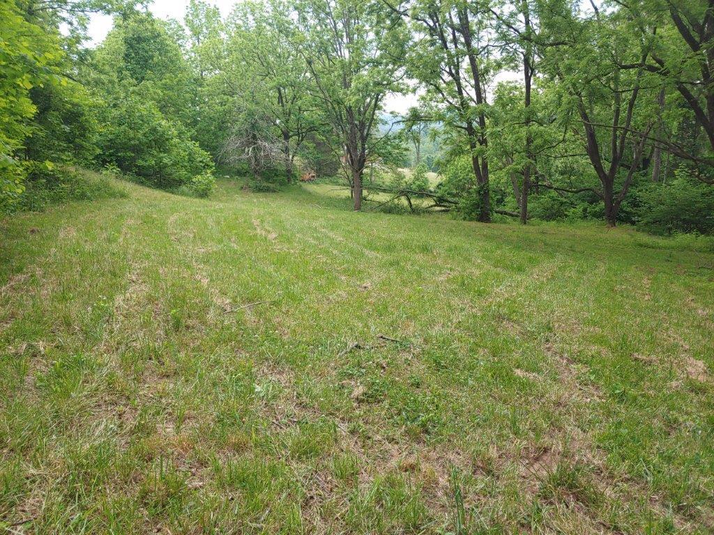 3510 5 Mile Mountain Road Callaway, VA 24067 - Photo 15 of 36 0524211430
