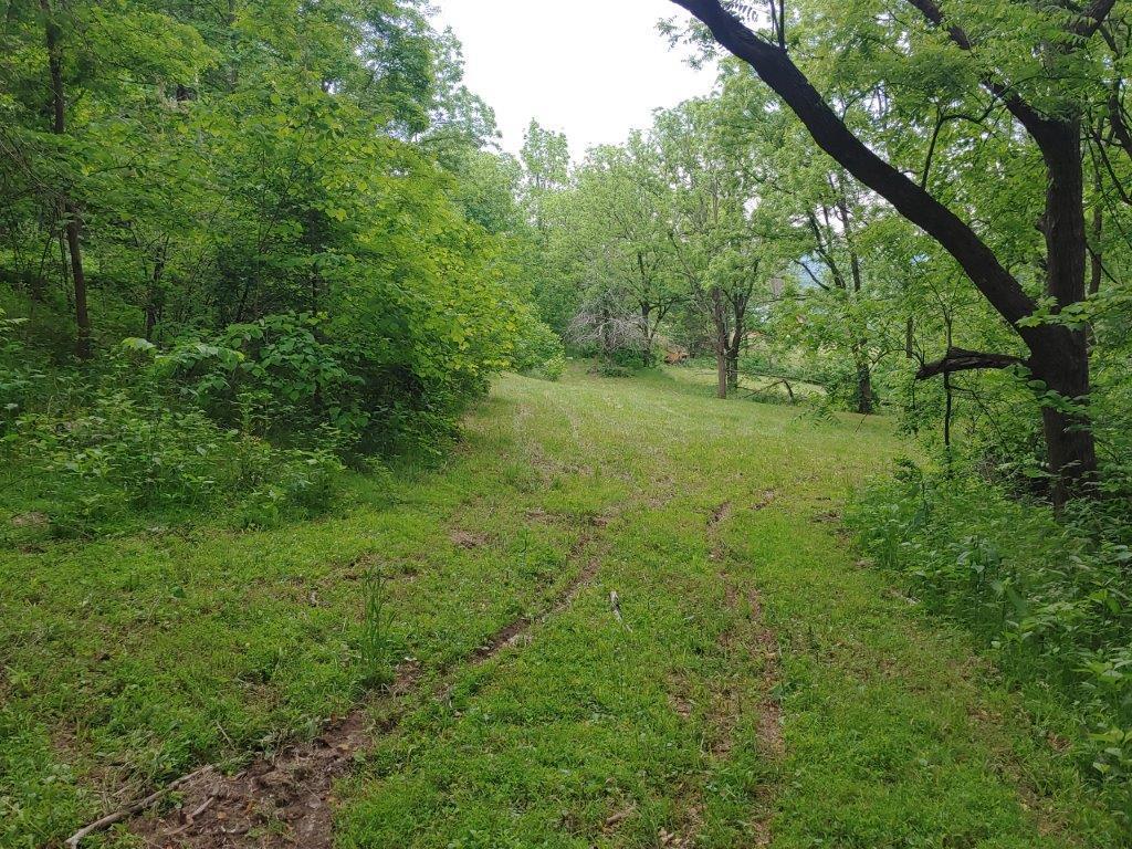 3510 5 Mile Mountain Road Callaway, VA 24067 - Photo 16 of 36 0524211429
