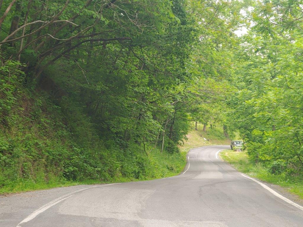 3510 5 Mile Mountain Road Callaway, VA 24067 - Photo 17 of 36 0524211424