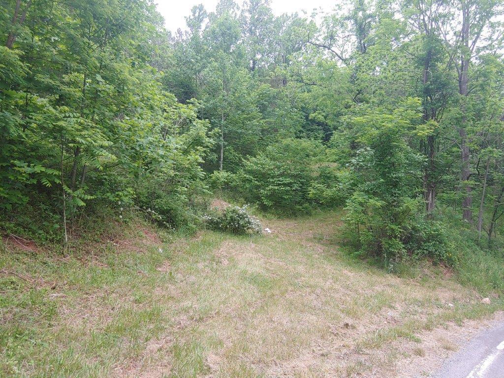 3510 5 Mile Mountain Road Callaway, VA 24067 - Photo 20 of 36 0524211353