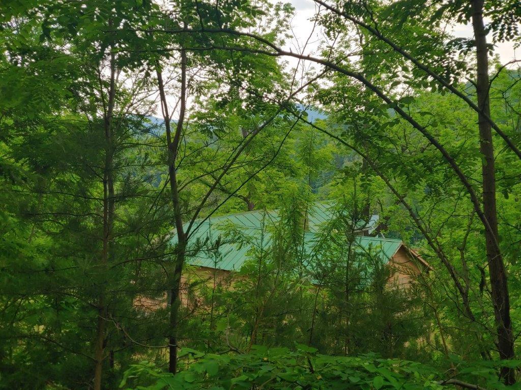 3510 5 Mile Mountain Road Callaway, VA 24067 - Photo 26 of 36 0524211337_HDR