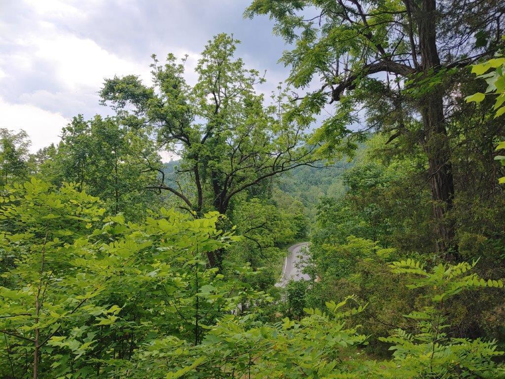 3510 5 Mile Mountain Road Callaway, VA 24067 - Photo 32 of 36 0524211321_HDR (2)
