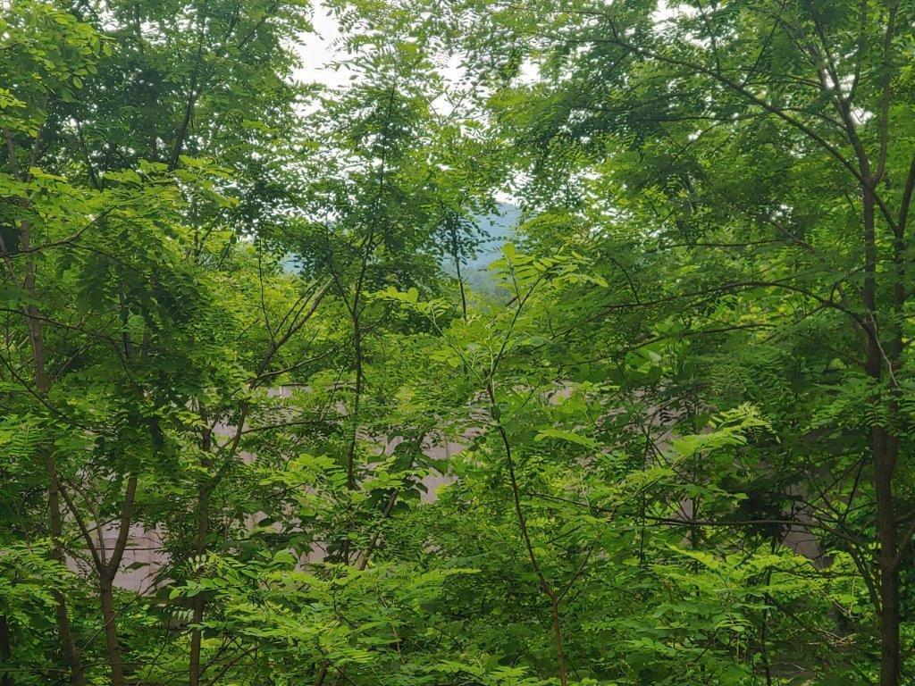 3510 5 Mile Mountain Road Callaway, VA 24067 - Photo 33 of 36 0524211318_HDR (2)