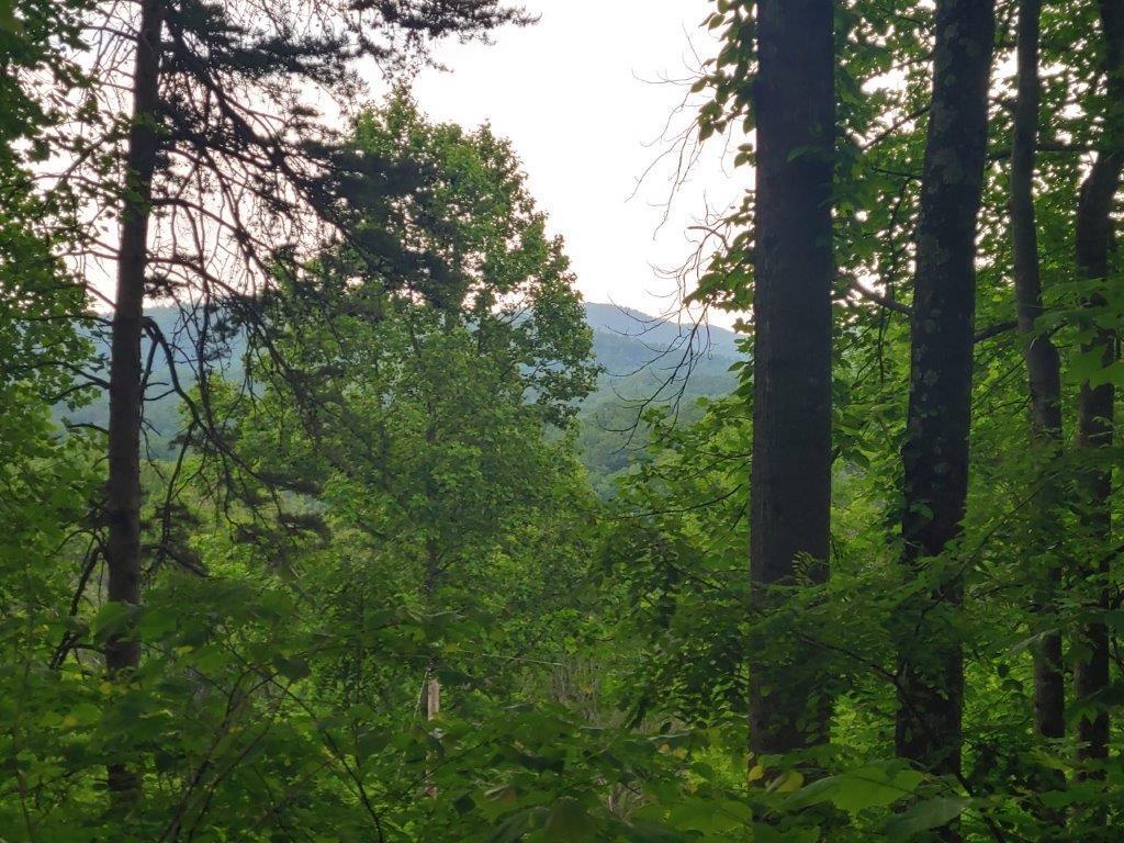 0524211333_HDR