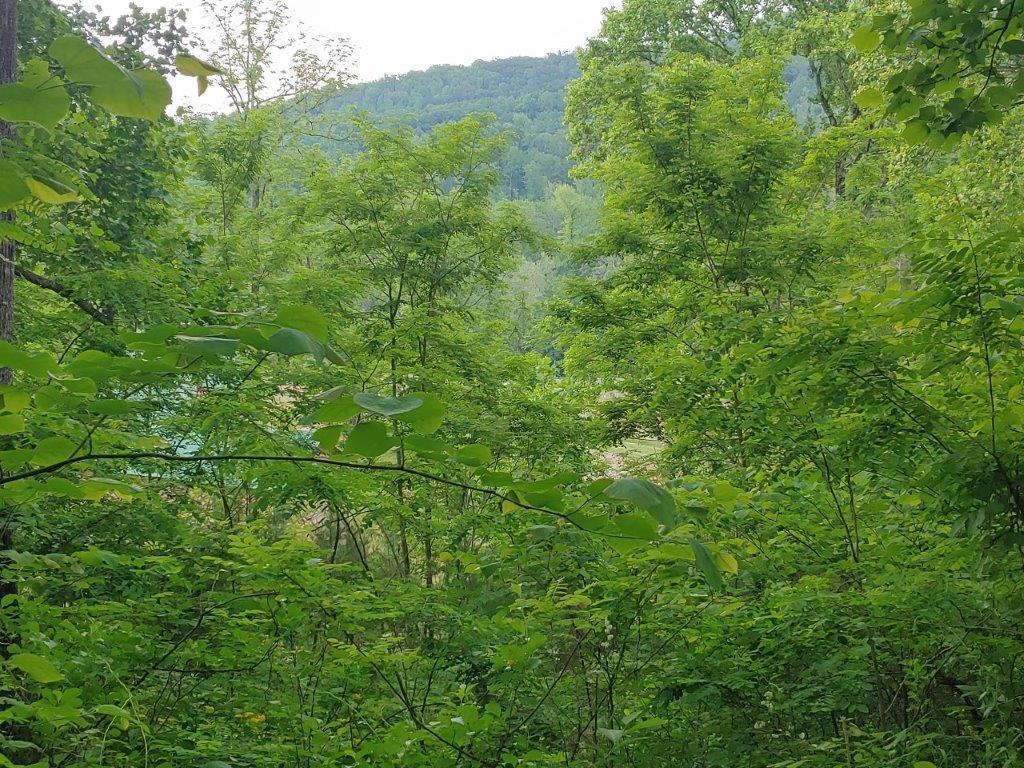0524211334a_HDR