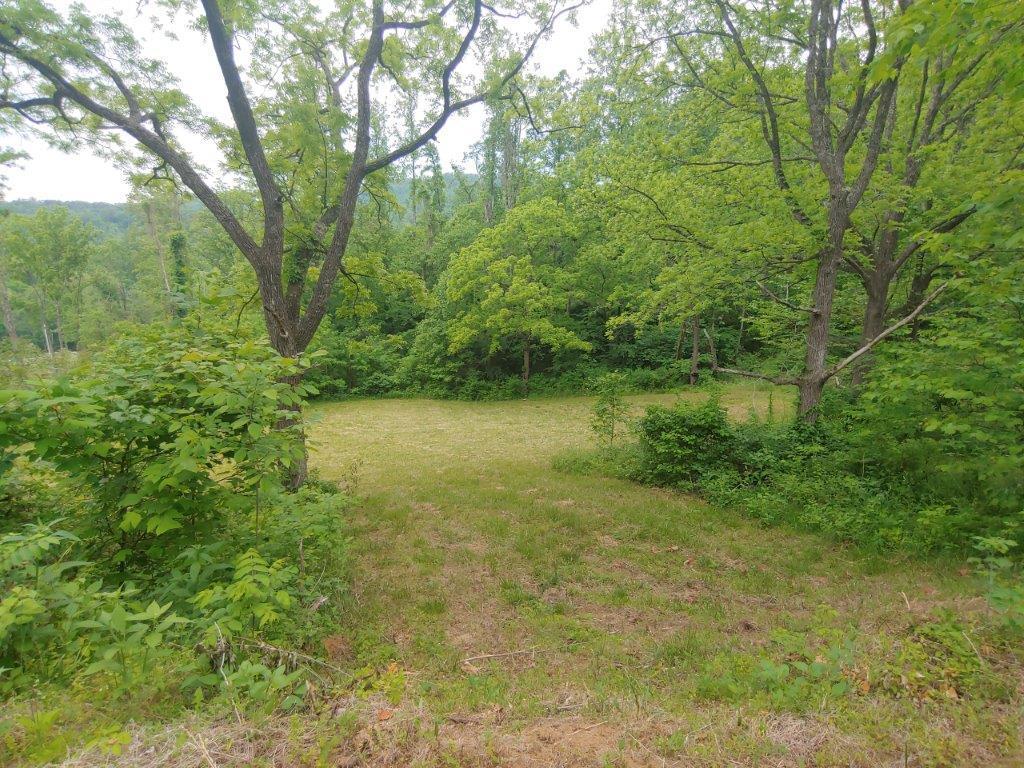 3510 5 Mile Mountain Road Callaway, VA 24067 - Photo 9 of 36 0524211432