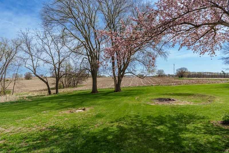 16905 West State Road Pecatonica, IL 61063 - Photo 36 of 47 a view of field with trees