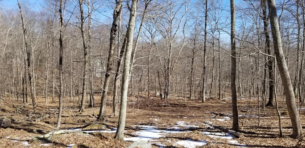 Xo Tower Hill Road Chaplin, CT 06235 - Photo 7 of 14 Gallery Image 7