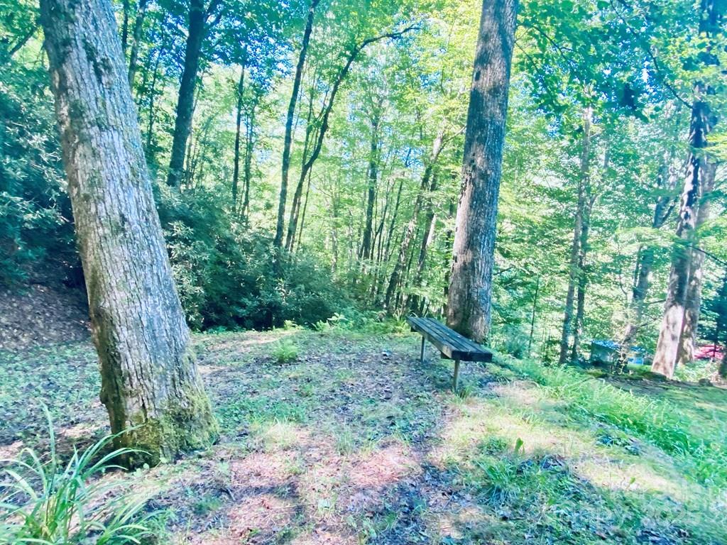 100 Crosspatch Drive Bryson City, NC 28713 - Photo 36 of 48