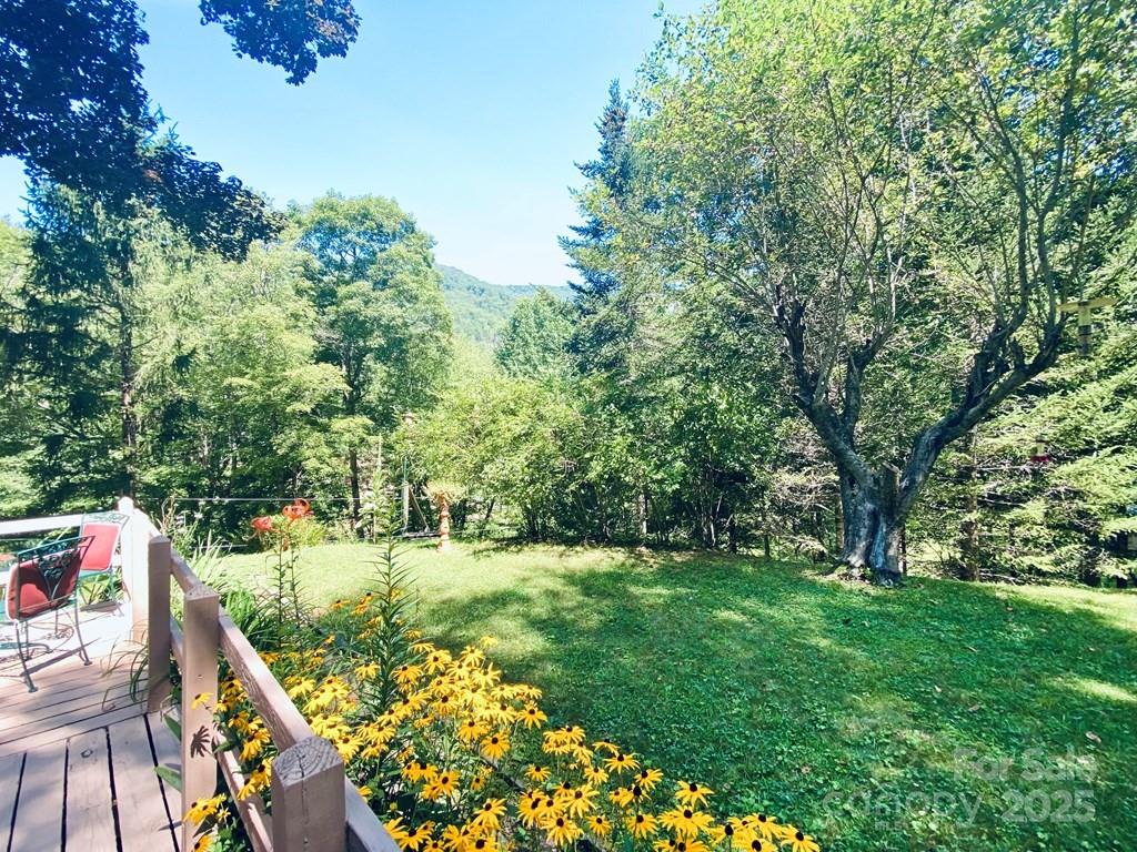 100 Crosspatch Drive Bryson City, NC 28713 - Photo 42 of 48
