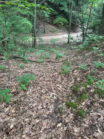 $240,000 | Lot G Lot G Hemlock Trail, Shelby, MI 49455