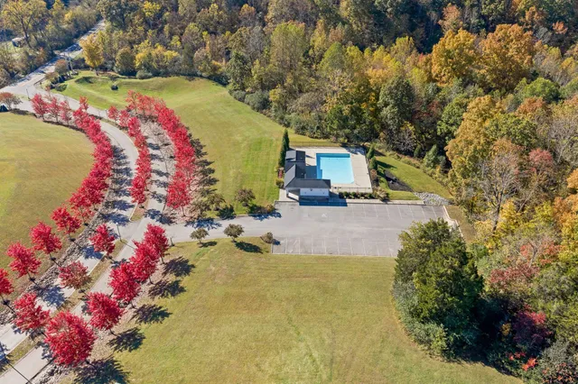 a view of a bunch of flowers and flowers