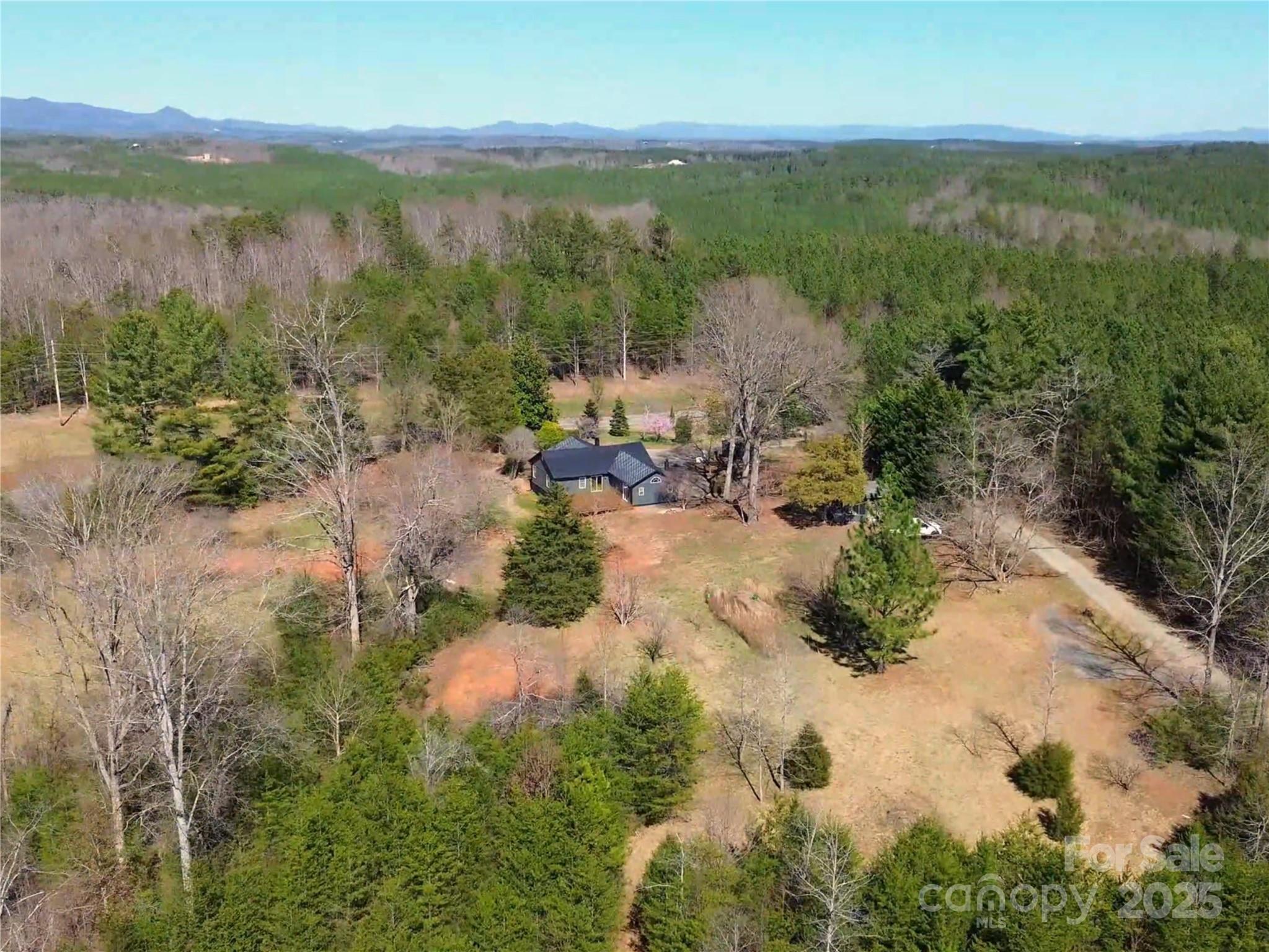 3531 Big Level Road Mill Spring, NC 28756 - Photo 21 of 29 a view of lake with mountain