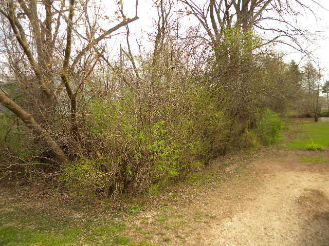 715 North Park Road Round Lake, IL 60073 - Photo 14 of 14 Gallery Image 14