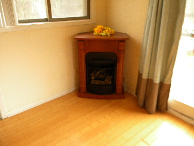 715 North Park Road Round Lake, IL 60073 - Photo 5 of 14 Gallery Image 5