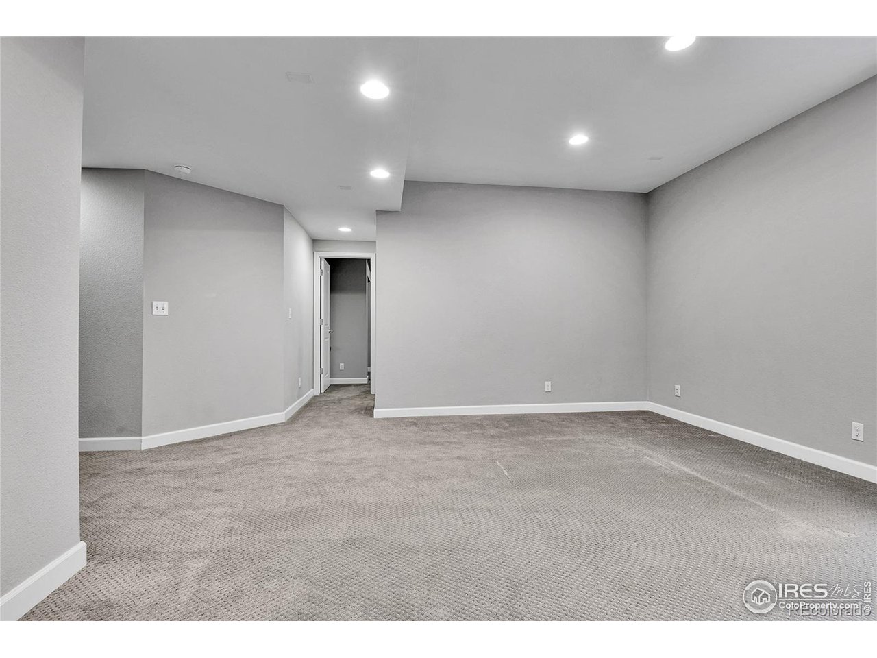 4974 Akron Street Denver, CO 80238 - Photo 33 of 45