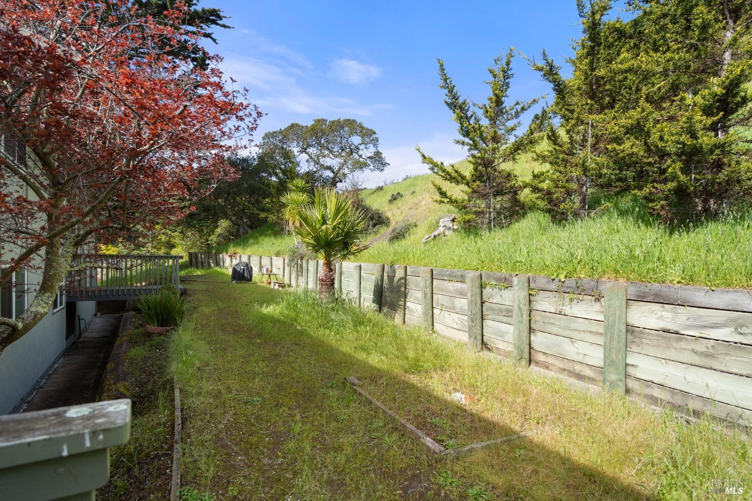 715 Drake Avenue Sausalito, CA 94965 - Photo 5 of 15