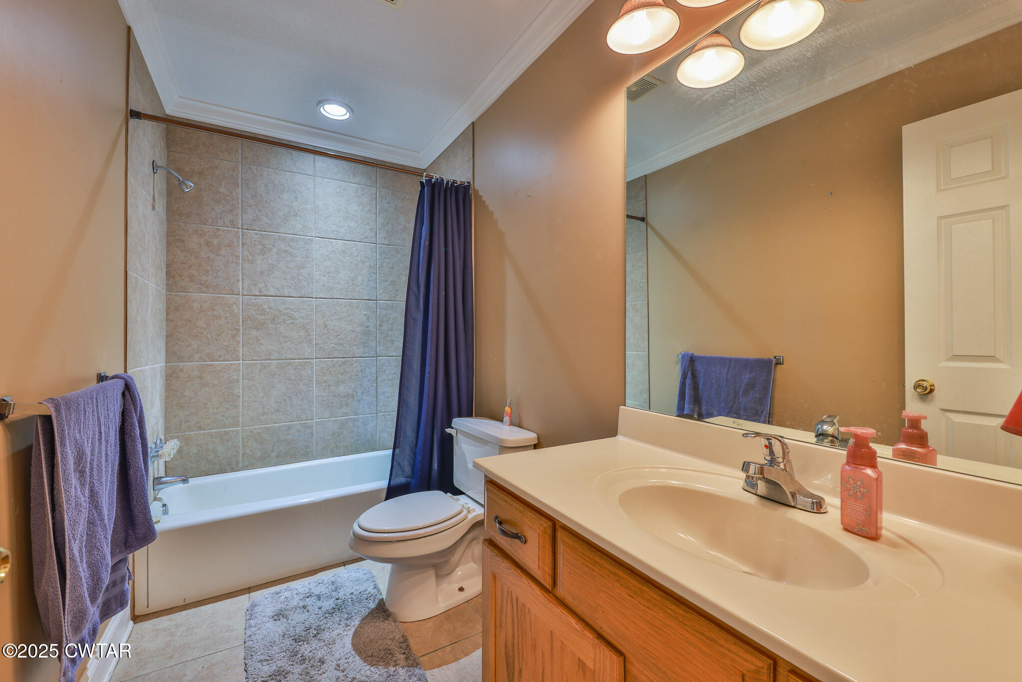 707 North Main Street Dyer, TN 38330 - Photo 22 of 29 a bathroom with a sink toilet and shower