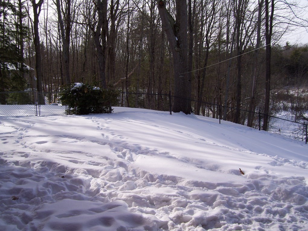 2025 Petersham Road Athol, MA 01331 - Photo 33 of 40