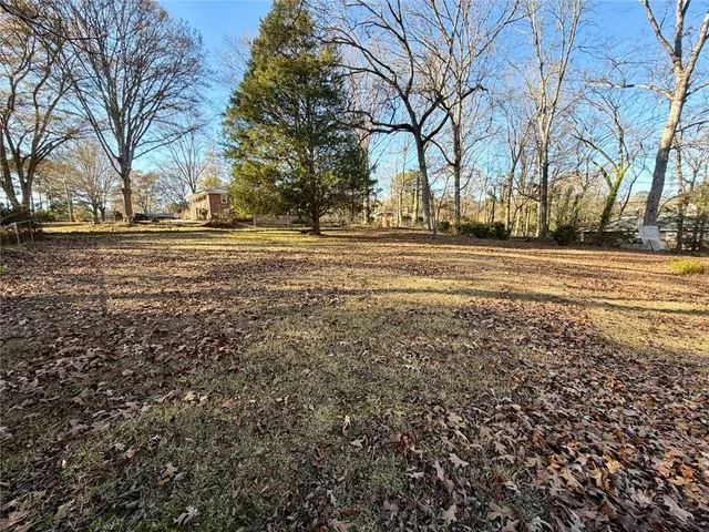 a view of dirt yard with large trees