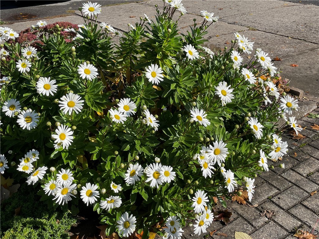 430 Sylvan Street Oneida, NY 13421 - Photo 43 of 50