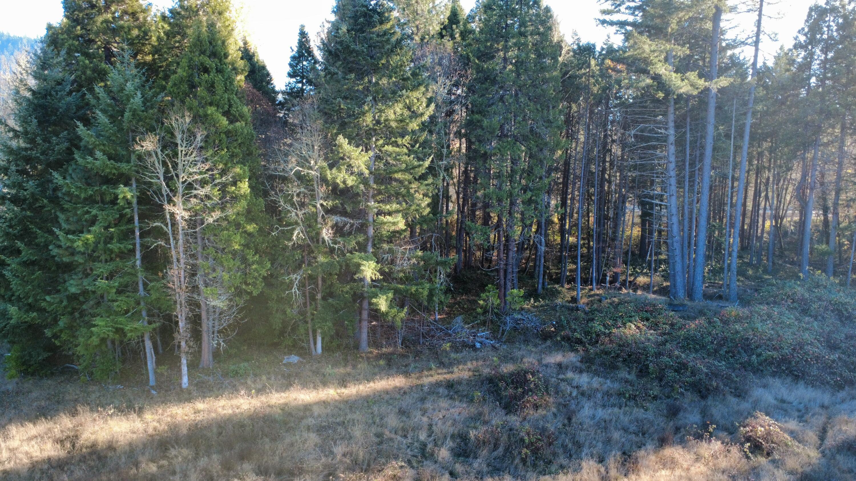 188 Pisqually Lane Azalea, OR 97410 - Photo 13 of 19 dji_fly_20251115_144754_54_1763247182918