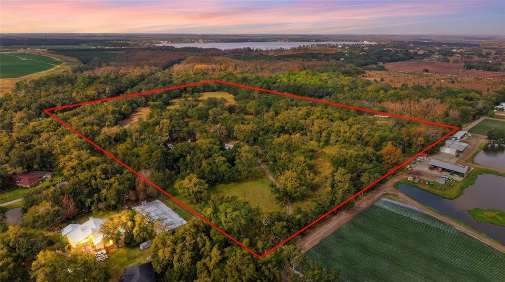 12454 Browns Berry Road Dover, FL 33527 - Photo 1 of 17 a view of a city from a balcony