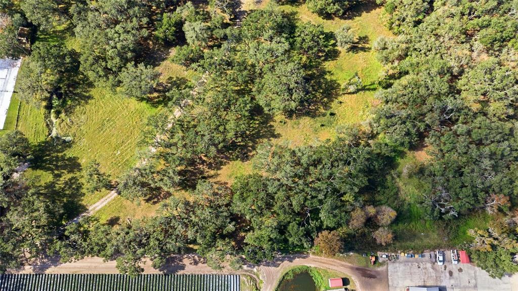 12454 Browns Berry Road Dover, FL 33527 - Photo 11 of 17 a view of a yard