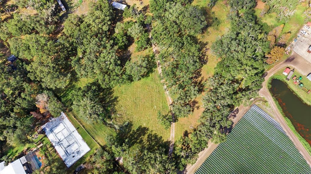 12454 Browns Berry Road Dover, FL 33527 - Photo 12 of 17 a view of a yard