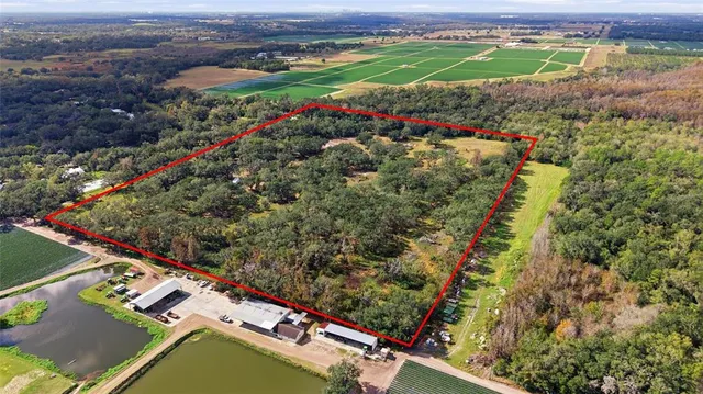 a view of a lush green field