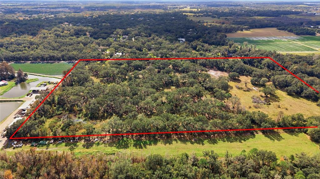 12454 Browns Berry Road Dover, FL 33527 - Photo 4 of 17