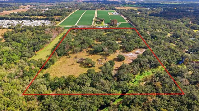 a view of a garden with an outdoor space