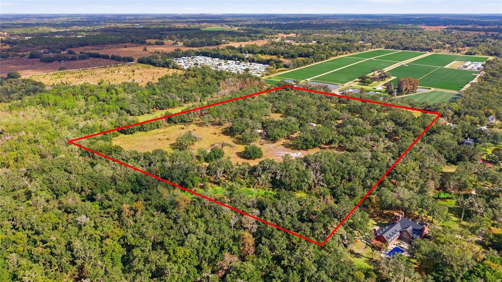 12454 Browns Berry Road Dover, FL 33527 - Photo 7 of 17 a view of a city