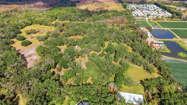 a view of a flower garden in a yard
