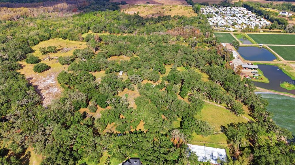 12454 Browns Berry Road Dover, FL 33527 - Photo 8 of 17 a view of a garden with an outdoor space