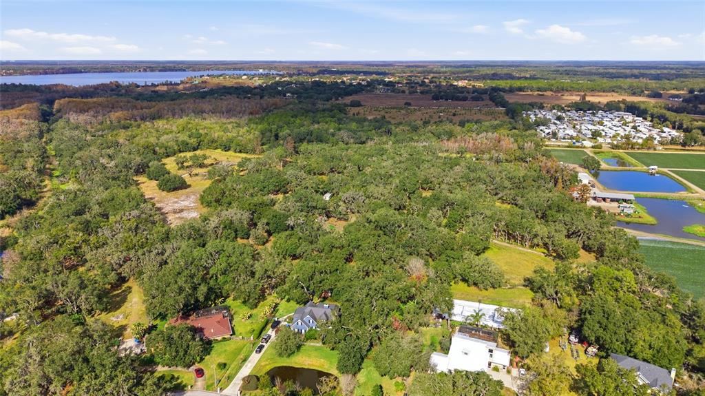 12454 Browns Berry Road Dover, FL 33527 - Photo 9 of 17 a view of a city and an ocean view